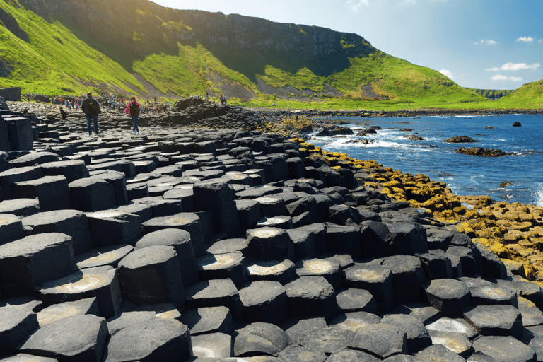 Dublin: Belfast (walking tour), Bushmills & Giant's Causeway
