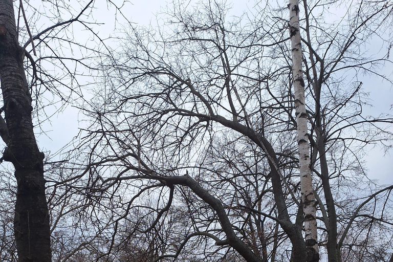 Bucharest: Arc de Triomphe & Village Museum Guided Tour