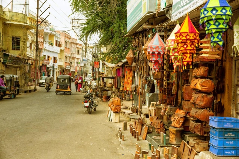 Udaipur: Prywatna całodniowa wycieczka krajoznawcza z przewodnikiem