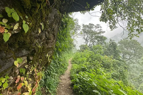 Sunrise Day Hike in Rishikesh