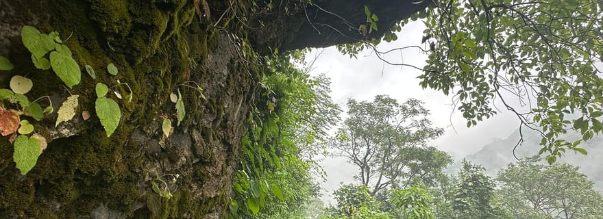 Randonnée au lever du soleil à Rishikesh