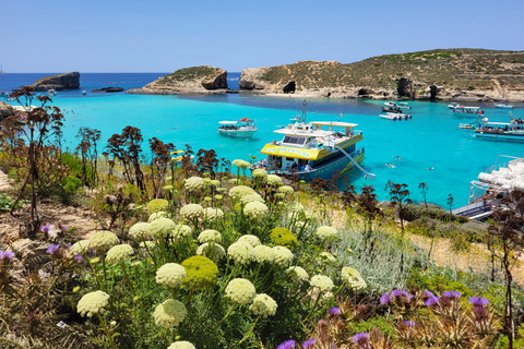 ميليها: غوزو، كومينو، كهوف البحر، ورحلة بحرية في البحيرة الزرقاء