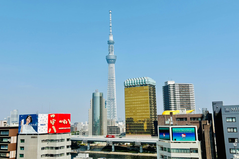 Tokyo: Private Half-Day Tour by Car with Local Guide Premium Van 6 pax