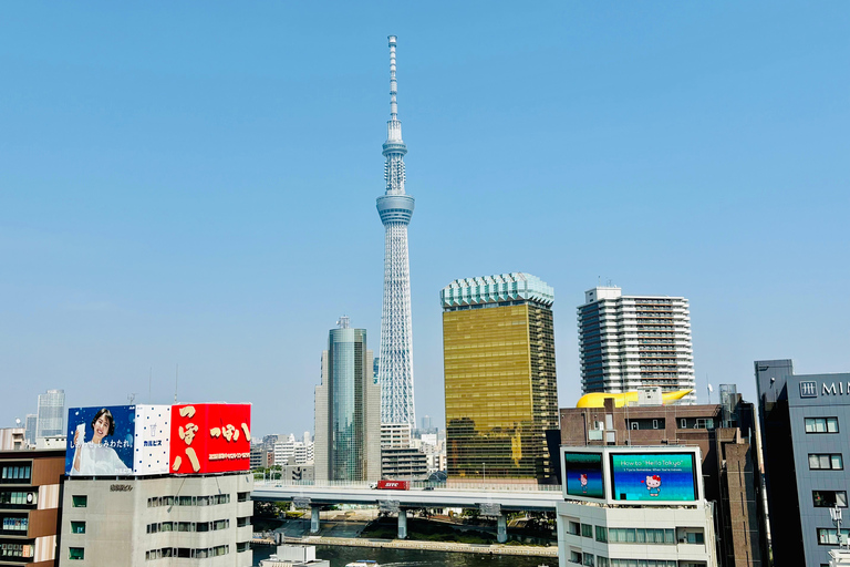 Tokyo: Private Half-Day Tour by Car with Local Guide Premium Van 6 pax