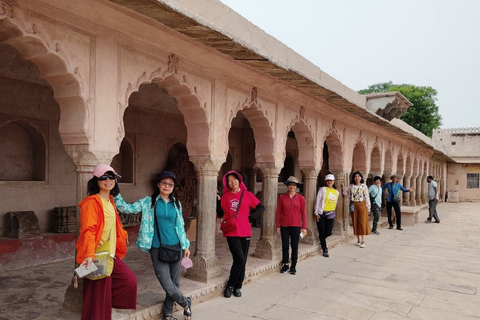 From Delhi: Taj Mahal & Agra Skip The Line Private Day Tour Professional Tour Guide Only