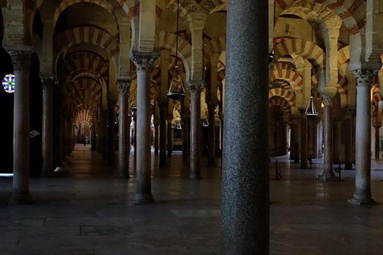 Hammamet: Kairouan Half-Day Guided Tour with Hotel Pickup