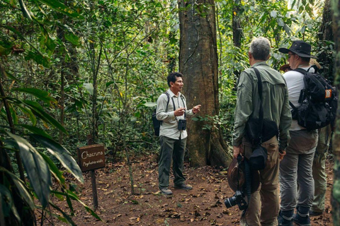 Puerto Maldonado: Collpa Chuncho 2-Day Jungle Tour