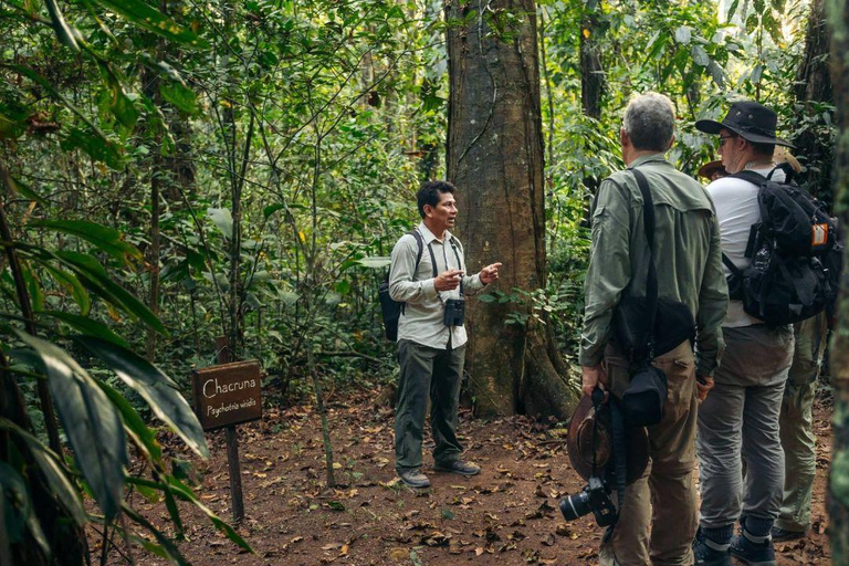 Puerto Maldonado: Collpa Chuncho 2-Day Jungle Tour