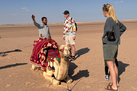 Hurghada: Camel Ride & horse ride and Off-Road Jeep Tour pickup from hotels inside hurghada