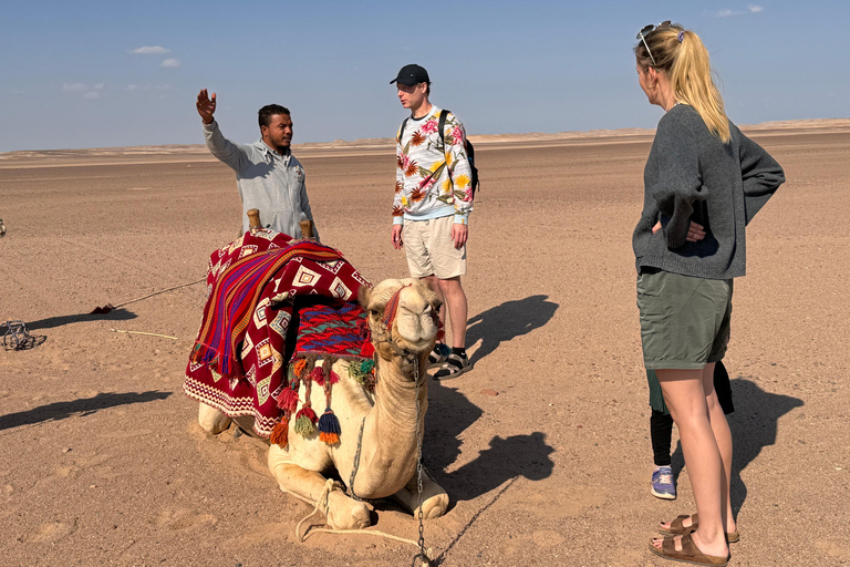 Hurghada: Camel Ride & horse ride and Off-Road Jeep Tour pickup from hotels inside hurghada