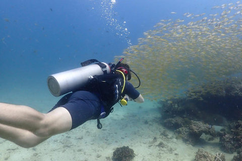 Phuket: Scuba Diving Try Dive with Hotel Pickup