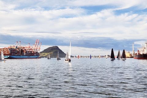 Tauranga Harbour Cruise