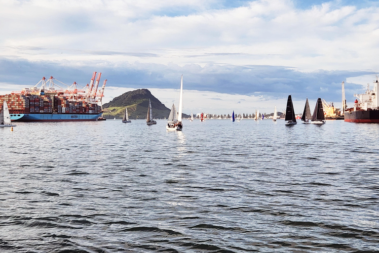 Cruzeiro no porto de Tauranga