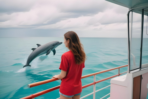 Lagoa de El Gouna e mergulho com golfinhos com almoço