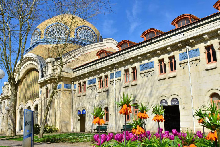 From Lyon: Vichy, City of Water Day Trip