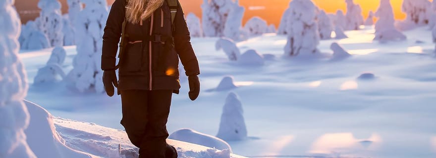 Parc national de Riisitunturi : excursion avec un chien de Laponie