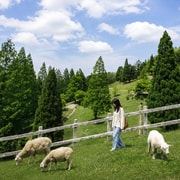 Mt. Rokko & Mt. Maya Nature Escape