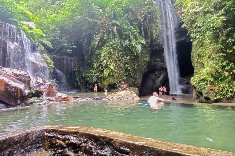 Entdecke die versteckten Juwelen der Wasserfälle in UbudGemeinsame Gruppe mit englischsprachigem Guide Tour