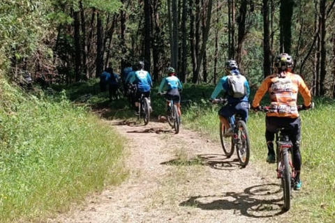 Medellín: Mountain Bike Tour and Coffee Experience