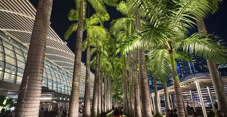 Singapore River Cruise, Garden Rhapsody & Spectra by CYT photo 15