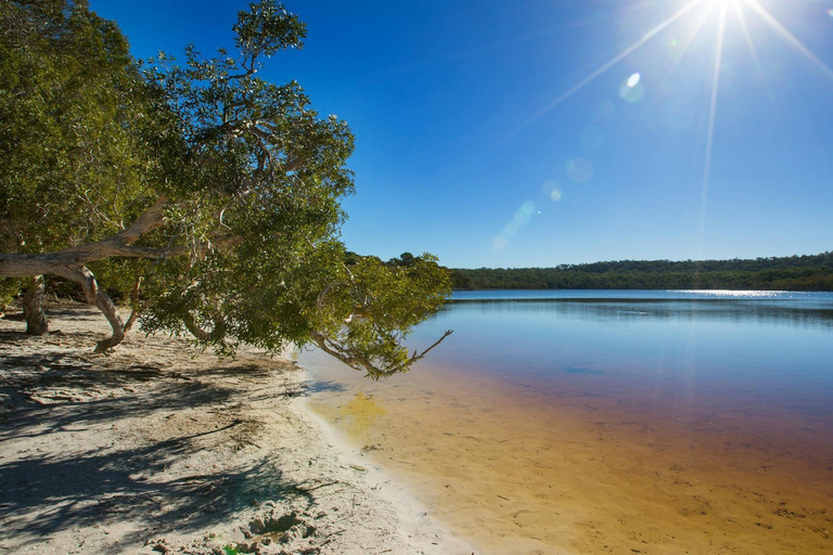 From Brisbane: Stradbroke Island Indigenous Culture Day Tour