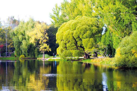 From Batumi: Georgian Amazon & Kolkheti Park Tour