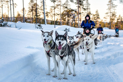Saariselkä: Safari con huskies y caza de auroras boreales