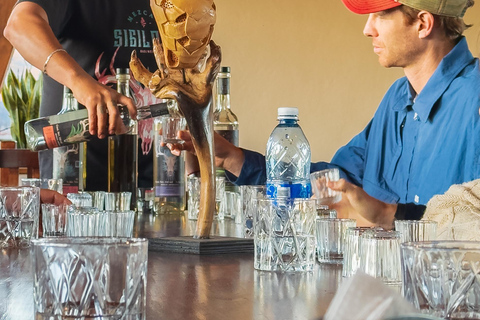 Mezcal, Agave, and Pulque Tour in Oaxaca