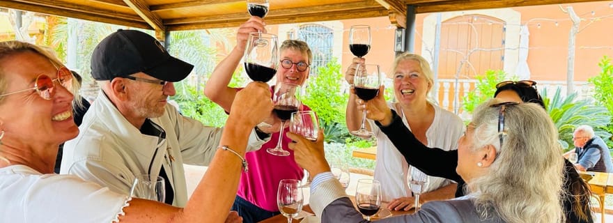 Novelda : dégustation de vins et sanctuaire de style Gaudí