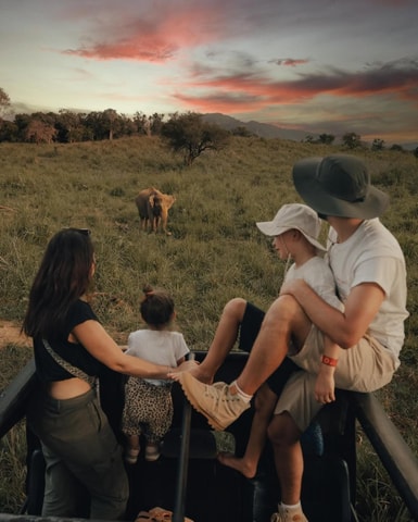 Minneriya Elephant Safari – Half-Day with Expert Tracker