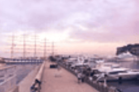 Cannes Shore Excursion: Private Provence Wine Experience