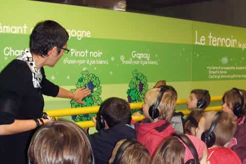 Family-friendly activities