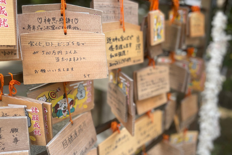 Tokyo Shrine Hopping Tour of Seven Gods of Fortune