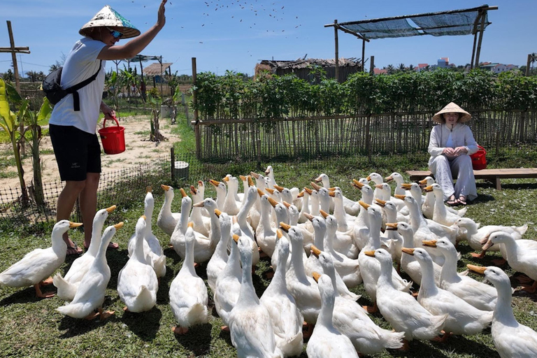 Hoi An Bike Tour: Stress Relief w Buffalo,Duck & Basket Boat E-Car Sightsee Private Tour: Explore the Insider’s Route