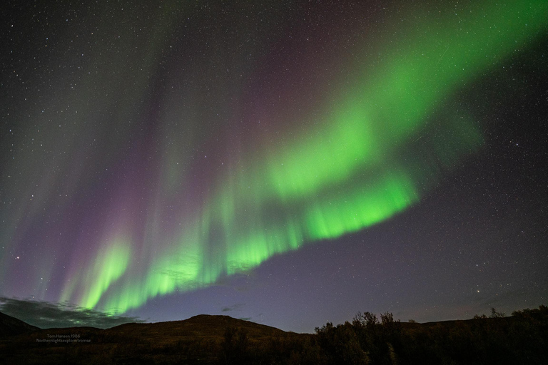 Tromsø:Northern Lights Tour with Photo and Suits.Local Guide Tromsø: Northern Lights Tour with Photos and Warm Suits