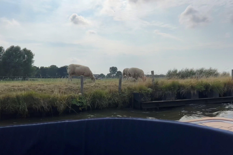 Rotterdam: corazón verde Midden-Delfland: Tour en barco de lujo