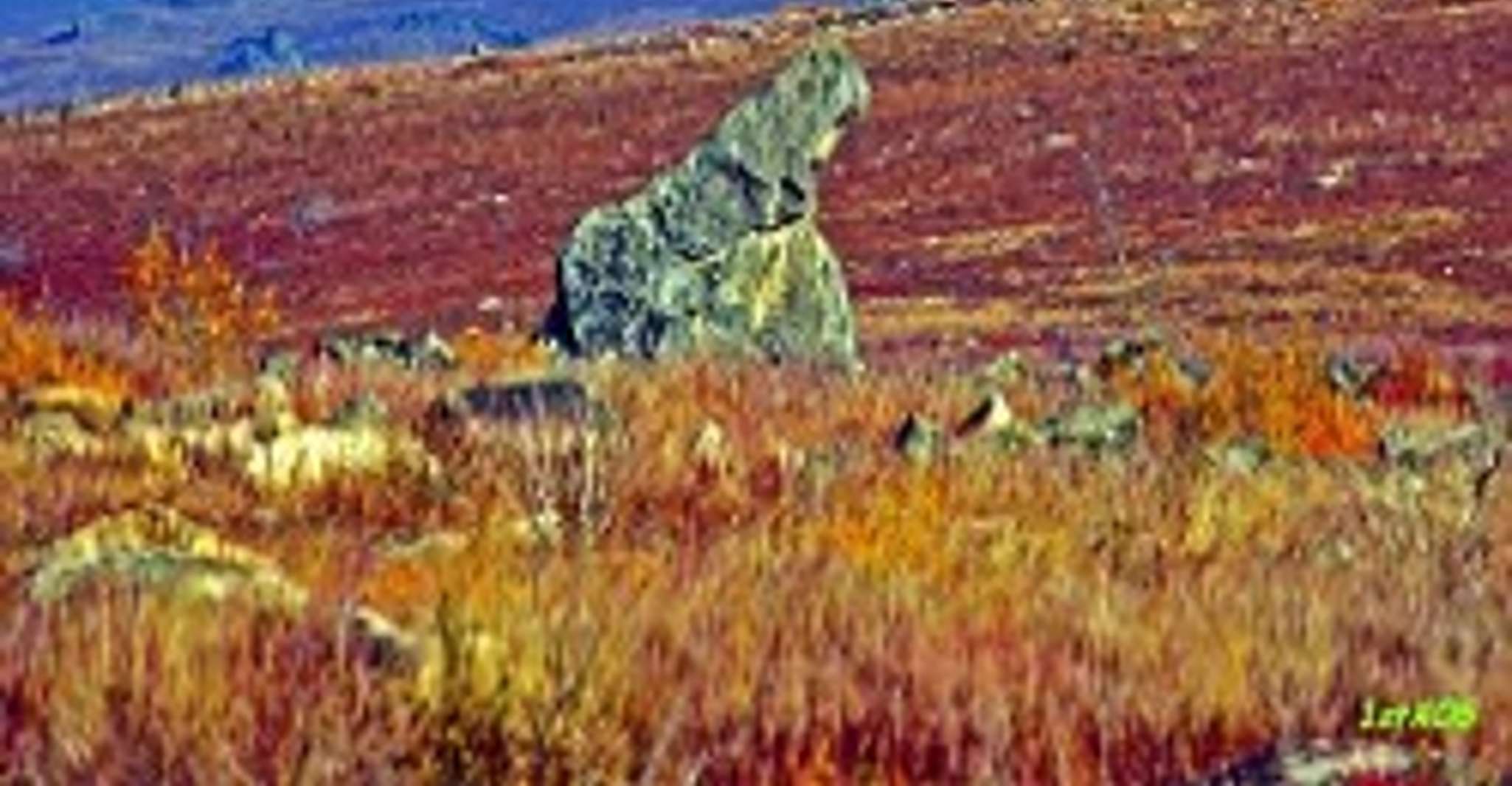 Fairbanks, Arctic Circle Adventure - Ganztägige Führung - Hizvo