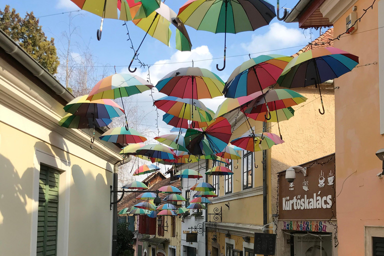E-Bike Tour to Szentedre