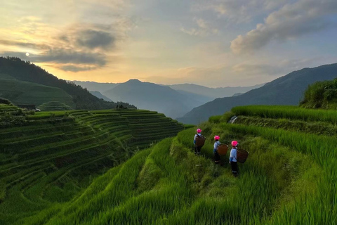 Guilin: Private Longji Rice Terraces & Reed Flute Cave Tour