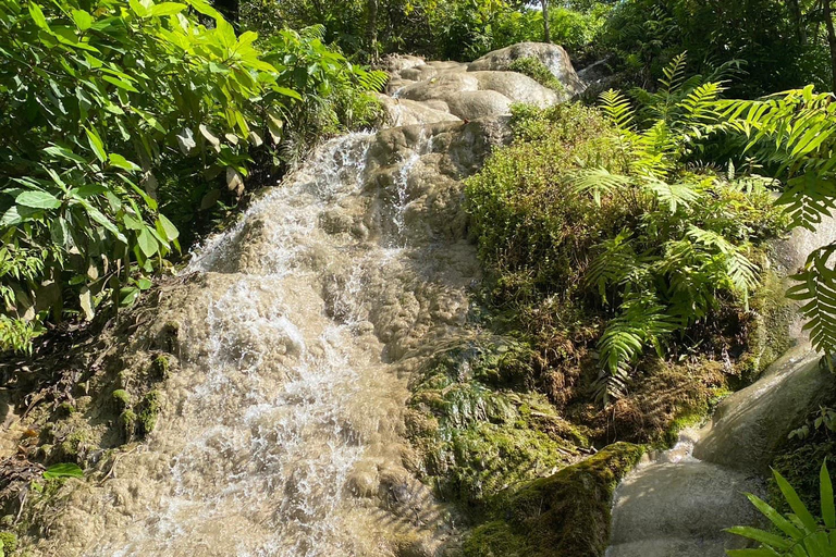 Doi Suthep-templet, orkidéodling och Sticky Waterfall med lunch