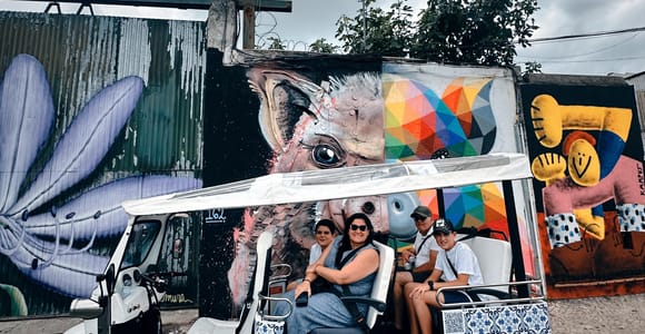 Lisbon with Tukxi: Street Art Lovers by Tuktuk