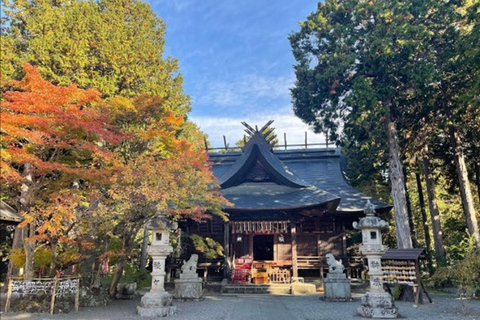 Fuji: kultur, skog och utsikt – privat skräddarsydd turFuji-kultur, skog och naturskön utsikt: Privat skräddarsydd tur