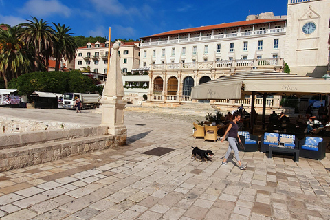 Hvar: Escursione di un giorno da Spalato con degustazione di viniHvar: Escursione di un giorno da Spalato con degustazione di vino