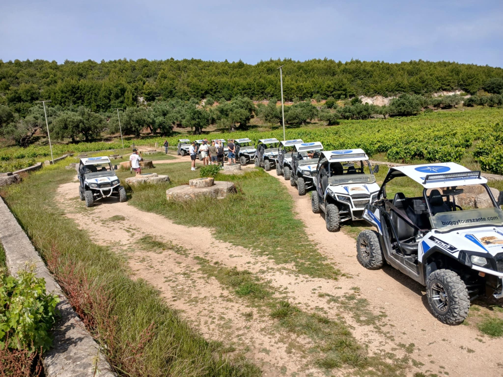 Laganas: Offroad-Buggy-Abenteuer auf Zakynthos mit Mittagessen