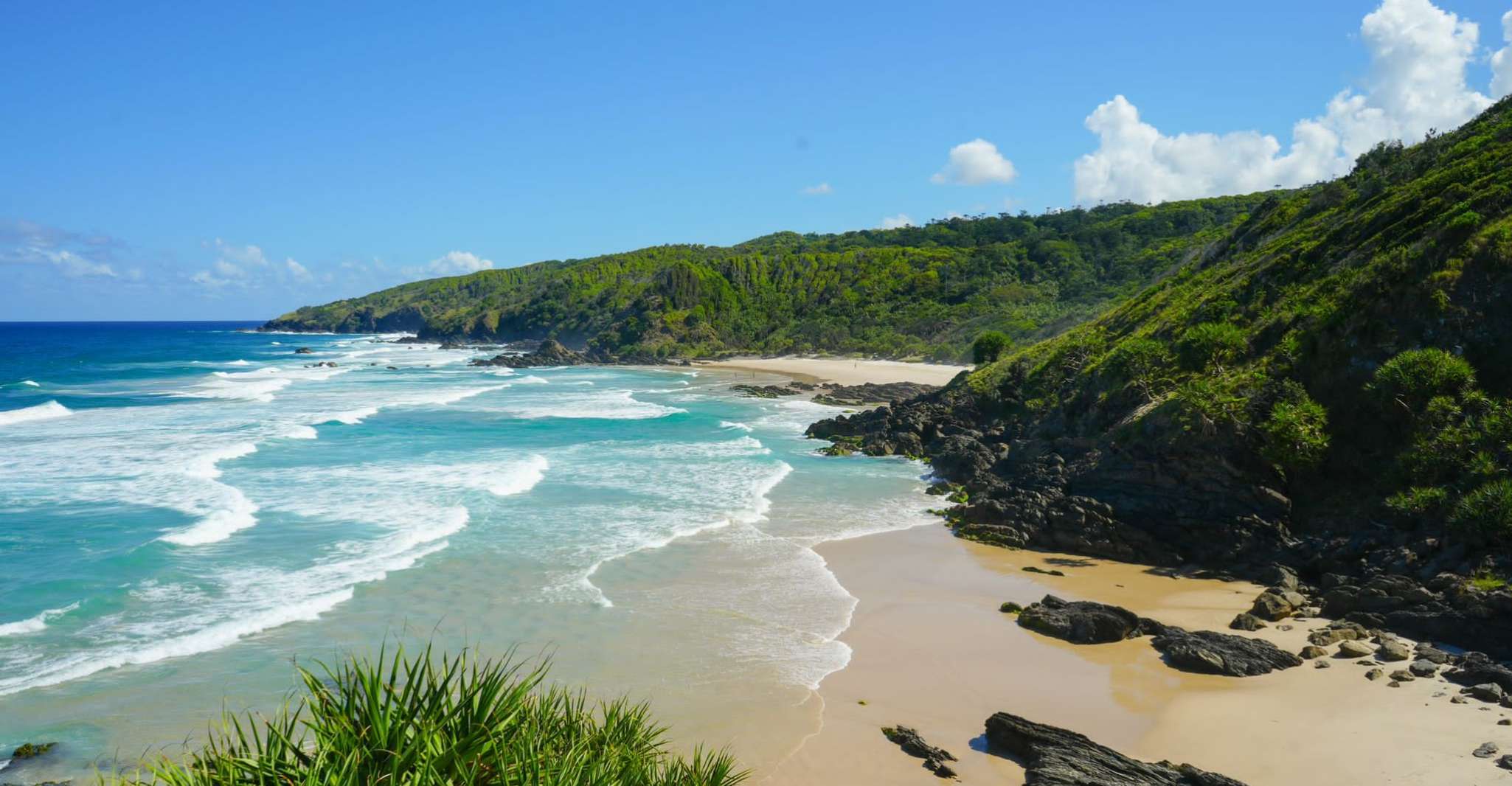 Byron Bay, Waterfalls and Hidden Gems Day Tour - Housity