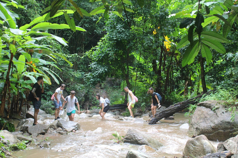 Chiang Mai: Elefanti, cascate e rafting in acque bianche