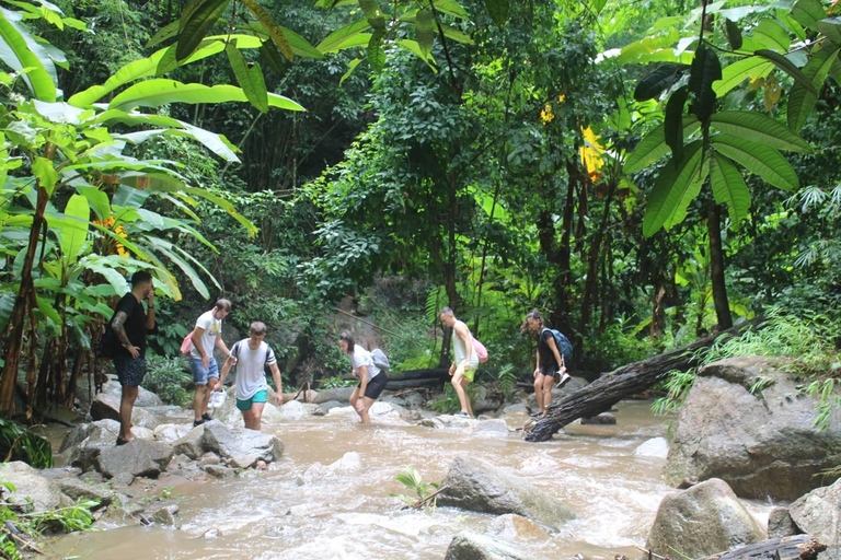 Chiang Mai: Elefanti, cascate e rafting in acque bianche