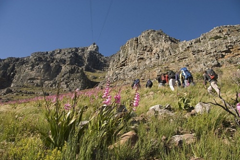Cape Town Private Guided Table Mountain RandonnéesOption standard