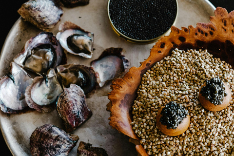 Oslo: City Tour & Traditional Norwegian Lunch with a Chef