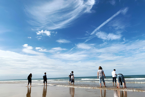 From Cambridge: Guided day trip to the North Norfolk Coast
